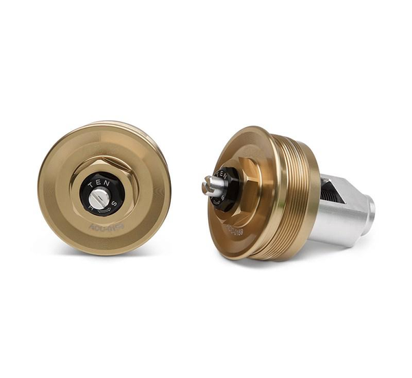 Fork Cap Set (Z900RS/SE)