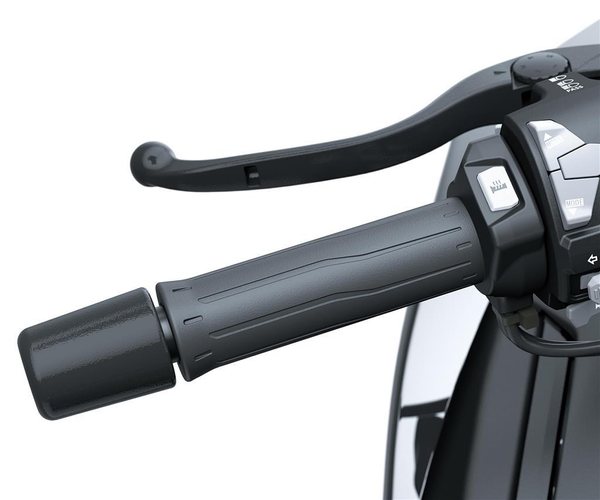 Heated Grip Set (Z H2/SE)