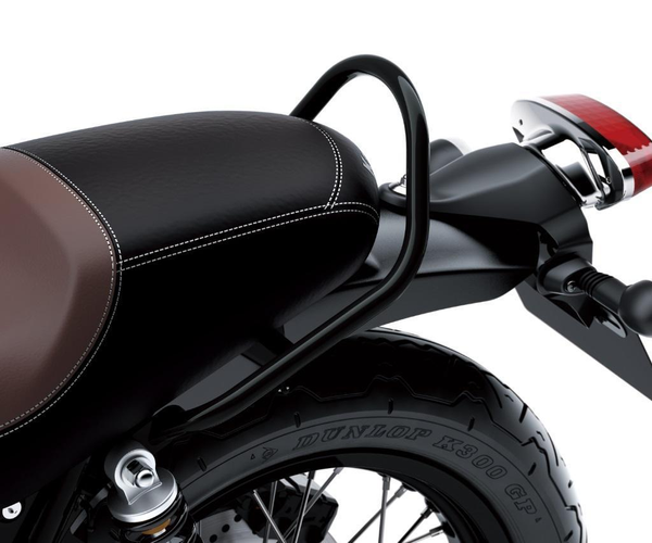 Passenger Grab Bar, Black (W800)